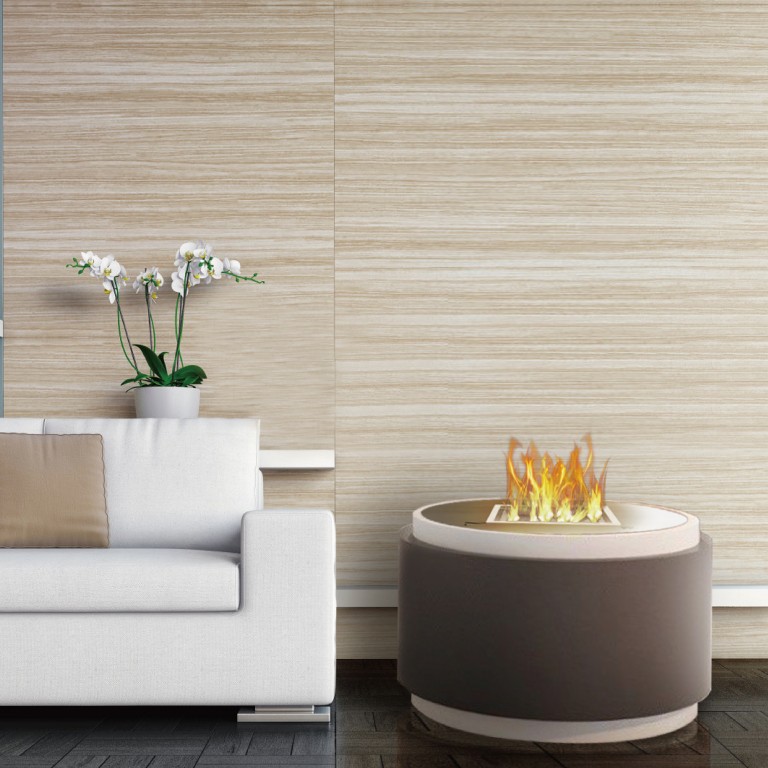 What to Choose electric ethanol fireplac